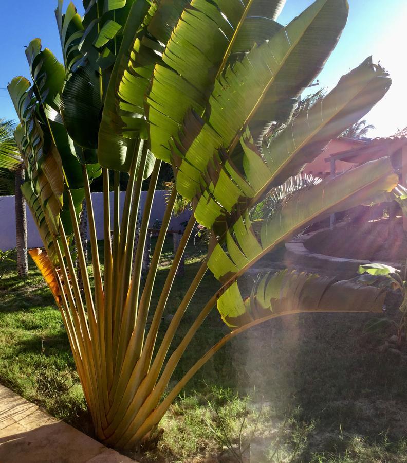 Pousada Kite Guajiru Itarema Exterior foto